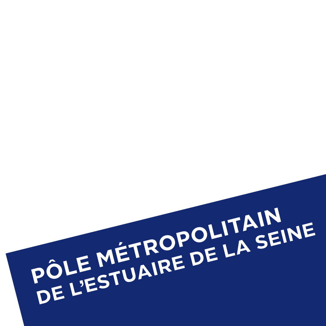 Logo PMES
