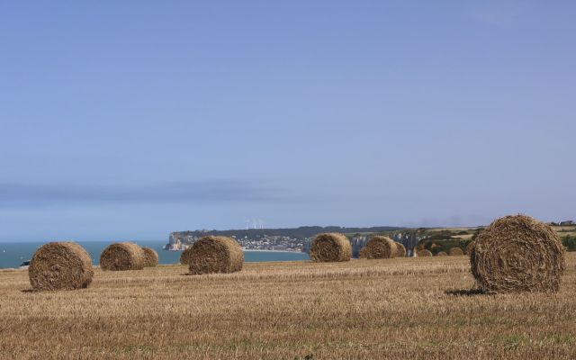 Photographie d'une botte de paille dans la région de Fécamp, cadre de l'édition 2025